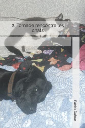  2. Tornade rencontre les chats