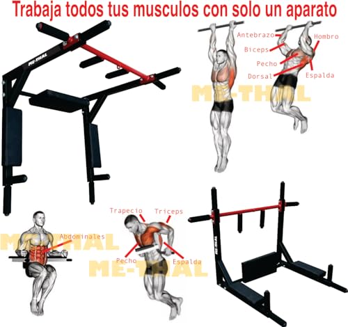 La Mejor comparativa de Barra bíceps disponible en línea. 24 La Mejor comparativa de Barra bíceps disponible en línea. 24