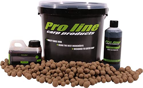 Secchio pieno di boilies Pro Line Fish & Garlic di 2,5 kg, compresi booster e olio di pesce!
