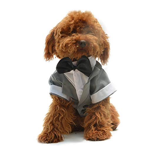 Lovelonglong Pet Costume Dog Suit Formal Tuxedo With Black Bow Tie For Small Dog Yorkshire Terrier Clothing Gray S #TOP7