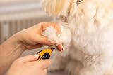 Wahl Nail Grinder Szlifierka do Pazurów dla Psów, Cicha i Lekka | Pielęgnacja Pazurów Zwierząt Domowych, Przycinanie Paz