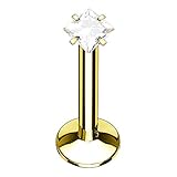 Dieser ausgefallenen Körperschmuck kann als Labret Stab, Monroe, Medusa, Madonna, Ashley, Lippenstecker, Shark, Snake, Dolphin, Canine, Cyber, Viper Bites, Ohrstecker, Cheek, Lippen, Ohrpiercing, Ohrring, Cartilage, Ohrknorpel Piercings, Madonnapiercing, Conch, Mitte, Ohr, Tragus, Lobe, Lips Piercing, Ohrschmuck, Ohrringe, Mund, Jestrum, Helixpiercing oder Lippenpiercing getragen werden.