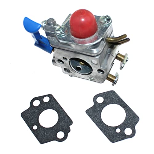 Carburador GC2128 para mantenimiento y limpieza de parcelas 3