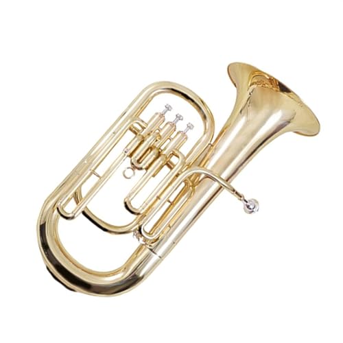 vtFbVi[tHjA ǊyvtFbViptH[}X[tHjA 3 X^hL[ Bb tbg[tHjA