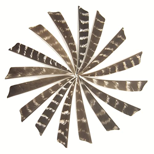 MILUWOND Arrow Fletching Shield Type 4 Inch or 5 Inch Natural Stripe Arrow DIY Feather Arrow Fletching(50 Pack)