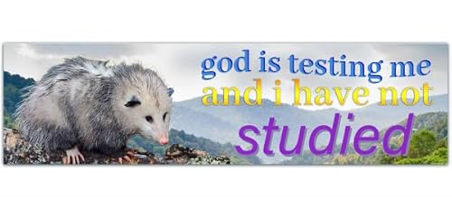Funny Bumper Sticker - God Is Testing Me And I Have Not Studied, Opossum, funny vinyl Decal, Cars, Windows [00081]
