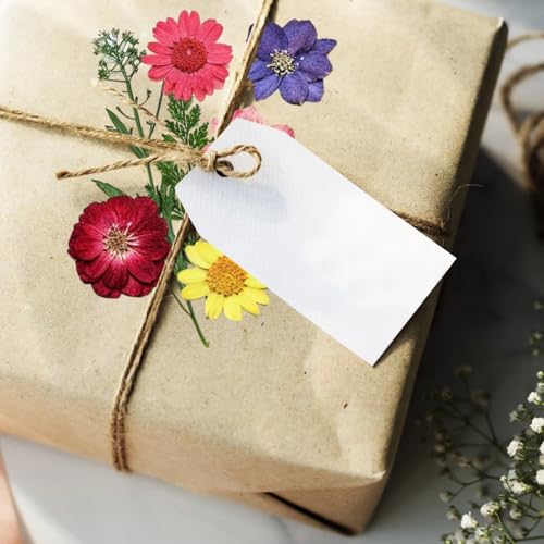 Kit de flores prensadas secas para manualidades miniatura 3