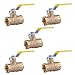 Hausen 1/2" FP Ball Valve FPT 600 PSI LF, 5-Pack