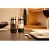 OXO Good Grips Mess-Free Pepper Grinder
