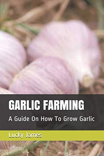 Garlic Farming: A Guide On How To Grow Garlic
