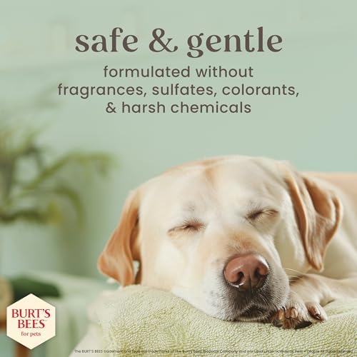 Burt's Bees for Pets Manuka Honey Tearless 2-in-1 Dog Shampoo and Conditioner, with Jojoba Oil, 95% Natural Origin, Free of Sulfates, Milk and Honey Scent, 16 Fl Oz - 4