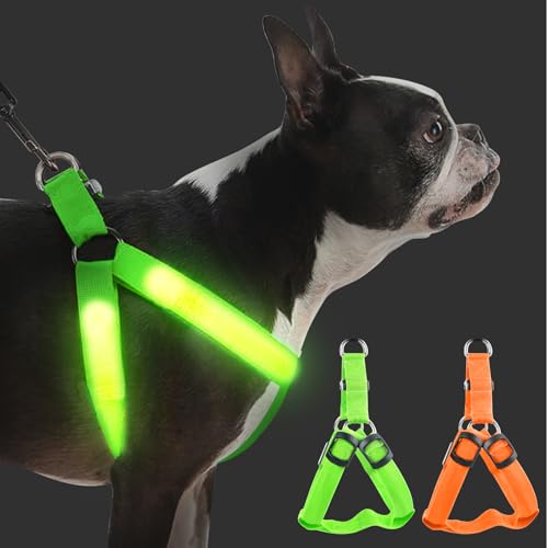 Set di 2 pettorine per cani leggeri e ricaricabili, luminose, per cani, illuminate, ricaricabili, per passeggiate notturne, per piccole e medie