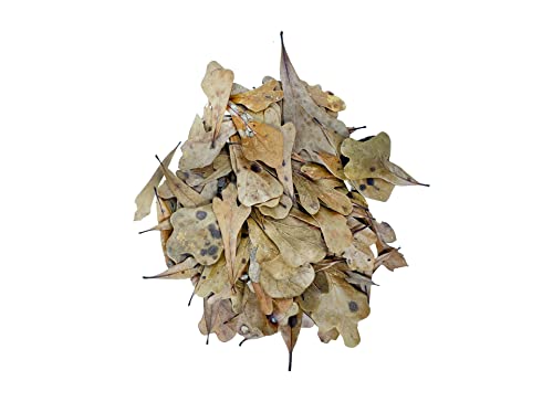 The Bio Dude Leaf Litter - Water Oak Litter - Great for bioactive terrariums, vivariums and Fish