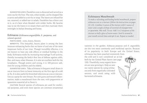 Storey Publishing, Llc ILLUSTRATIONS THROUGHOUT Herbs For Common Ailments: How To Make And Use Herbal Remedies thumb #2