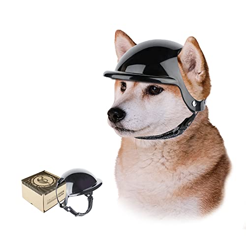 7 Best Dog Motorcycle Helmets Keep Your Canine CoRider Safe