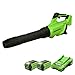Greenworks GD40ABK2X Axial Akku Laubbläser mit bürstenlosem Motor, 210 km/h, 15,6 m³/min, zwei 40V 2Ah Akkus &amp; Ladegerät, 3 Jahre Garantie