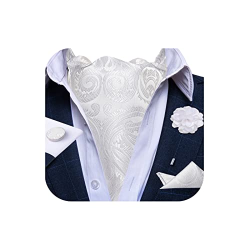 Image of DiBanGu Mens Silk Ascot Ties Paisley Jacquard Woven Cravat and Pocket Square Cufflinks with Lapel Pin for Business Wedding