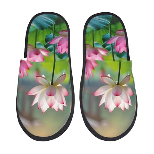 [JECASS] nX̉ lC v[g Aj Xbp  Y 􂦂 gC qp p E Xbpjp LN^[ ObY  fB[X ~ 킢 qpm