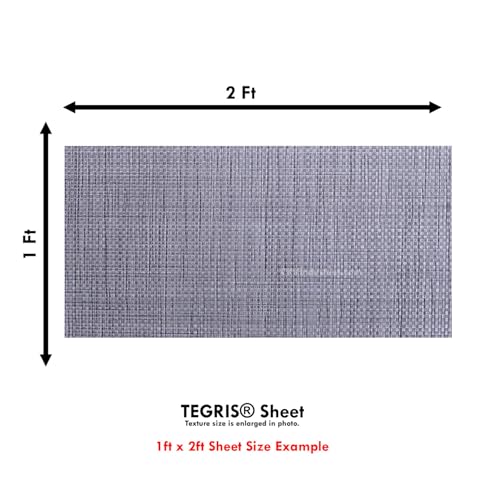 Image of TEGRIS Thermoplastic Composite Sheet - (12 x 24 in.) - (Silver /Gray) - (8 Layer /.040) - Impact Resistant Material for Holster Making, DIY Gear, & Hobby - (USA Made)