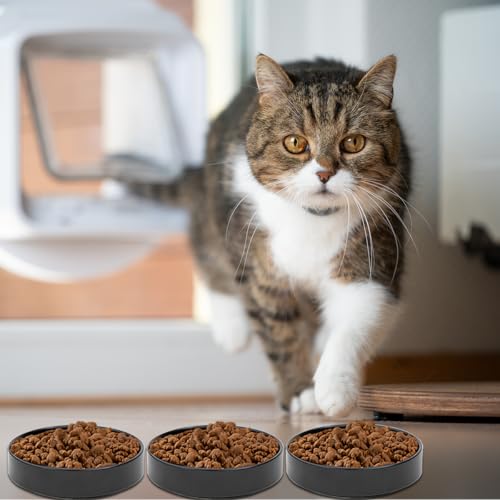 Katzennapf Keramik,3-teiliges Set Futternapf Katze,Der endgültige Katzennapf für Katzen und Welpen 15 * 4cm (Schwarz)