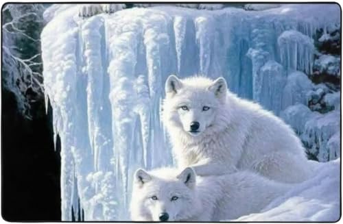  Lcl O O}bg J[ybg 100 * 150 Cm J[ybgΉ ~ ` ~ߕt EHbVu I[V[YKp