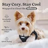 rabbitgoo Dog Harness Small Dog, Step-in Soft Mesh Puppy Harness with Reflective Strips, Lightweight Breathable Pet Vest for Walking Training, Black, XS - Image 3