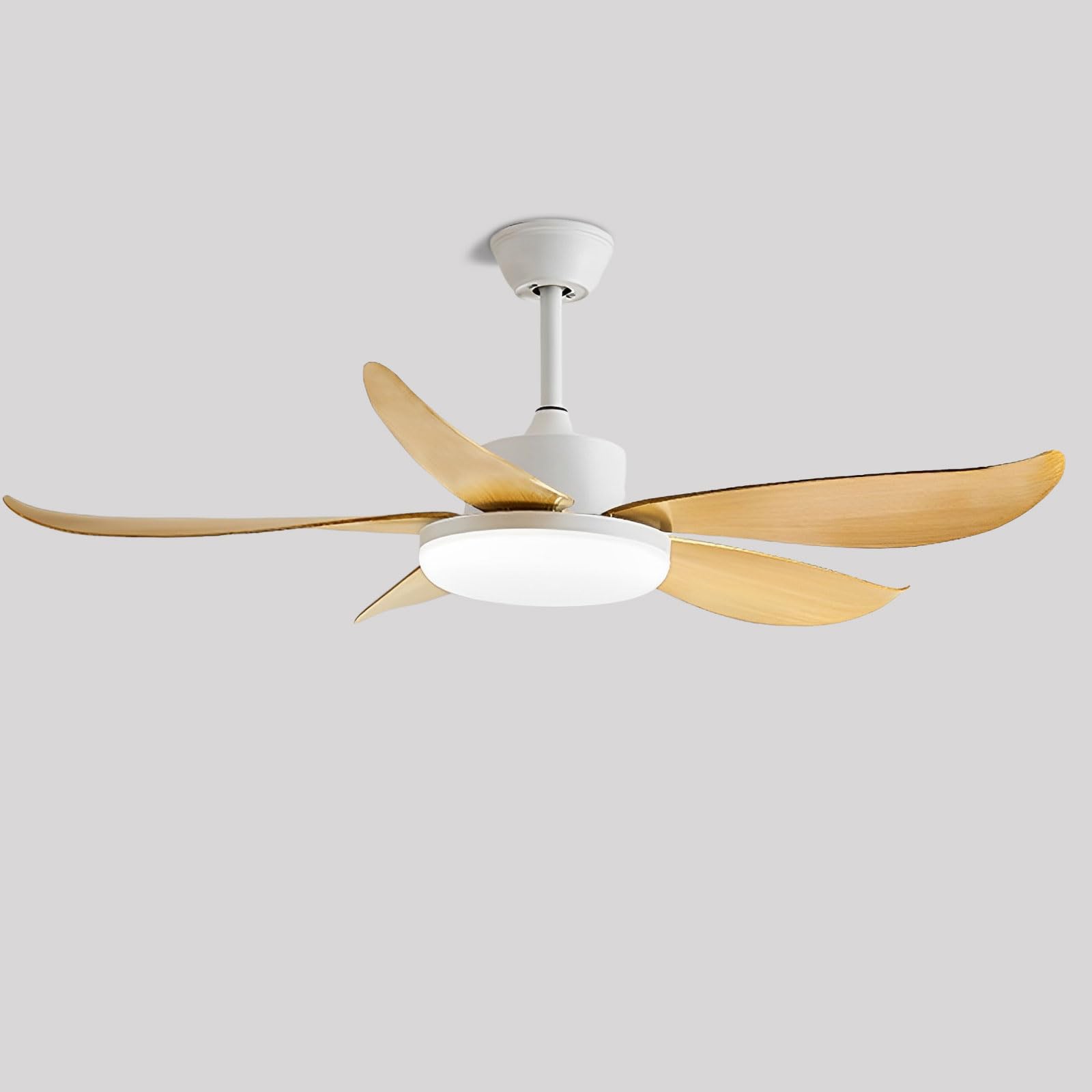 SXDMOUBK Nordic Ceiling Fans With Lights Remote Dimmable LED Light Fixtures Indoor Quiet Fan For Bedroom Lounge Room Study 6 Speeds 5 ABS Blades