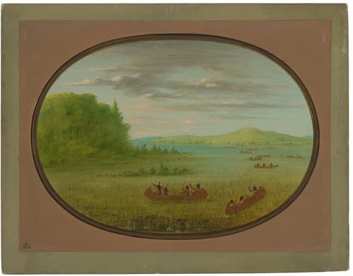 Imagen en lienzo de George Catlin para renovar paredes de salón