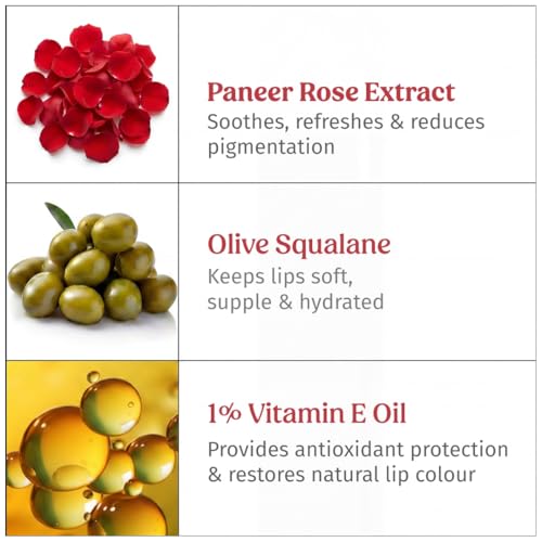 Image of Vilvah X Annapoorna Rose Milk Lip Balm | Pink Tint, Moisturization for Dry, Chapped & Pigmented Lips | With Paneer Rose Extract, 1% Vitamin E & Olive Squalane | Hydrates, Brightens & Heals Lips | 10g
