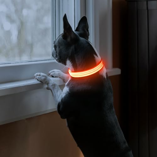 PZRLit LED Hundehalsband – Leuchthalsband Hund Verstellbar, Reflektierendes & Wasserdichtes Hundehalsband, USB Aufladbares Sicherheitshalsband für Kleine Mittel Große Hunde, Halsbänder