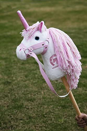 Medallion Pony Hobby Horse Stick Pretend Play Ride On Toy for Children in Brown Color
