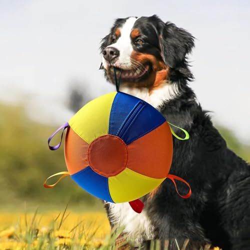 Balles jouet pour chien actif et balle interactive pour chiot - 8