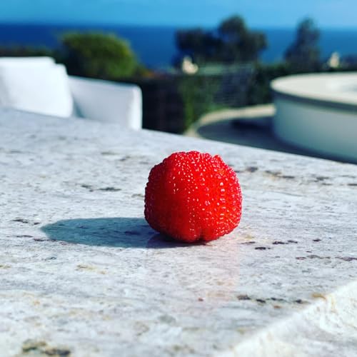 &Eacute;pisode 11 Abel