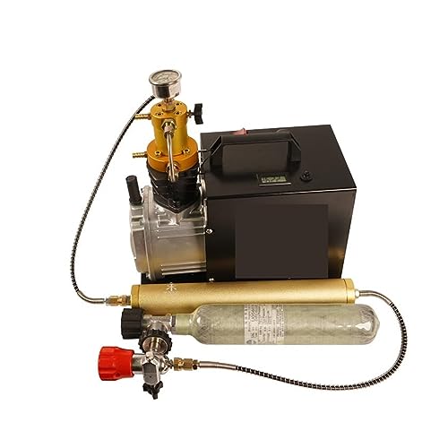 Bomba de vacío, 4500Psi 300Bar 30Mpa compresor de aire eléctrico de alta presión para servicio de aire acondicionado miniatura 5