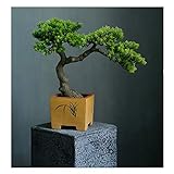  XAoSCd Simulation De Qualité Bonsaï Artificiel Bienvenue chez Tree Tree Bonsai Hotel Office Tea Plusieurs Live Hall Extreme Decoration Beaux Articles Fausses Plantes Décor,C