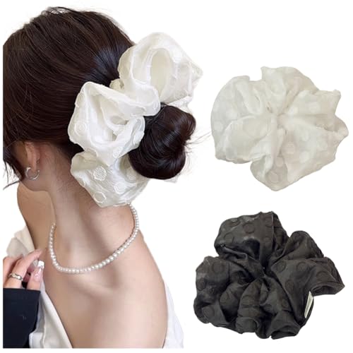 FASELE VV wAS S  X^CbV D wAANZT[ Vv hJ GKg i   fB[X e   ʋ v[g 蕨 2_Zbg