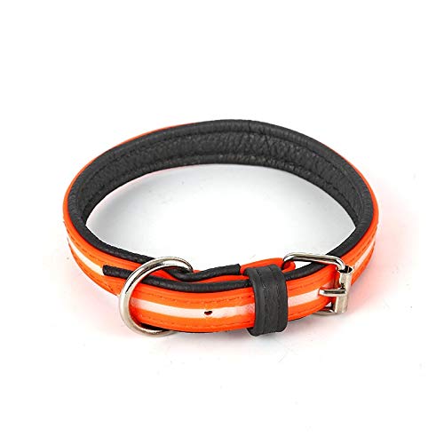 Amazon.co.jp: 犬の首輪 レザードッグカラー、プレミアムドッグカラー