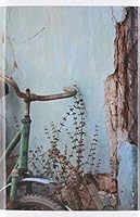 Past Times 046441296X Book Cover