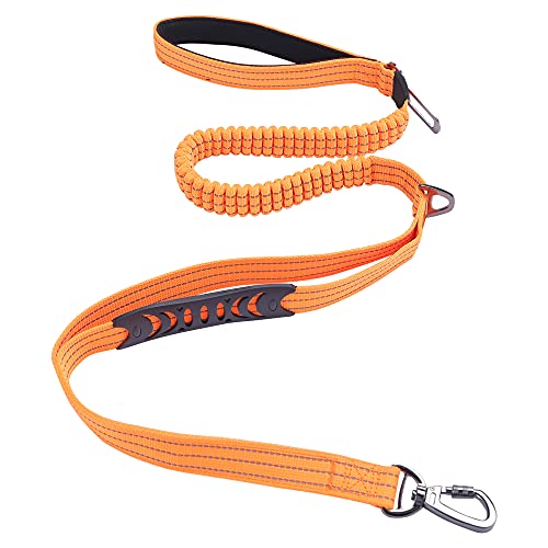 Best ShockAbsorbing Dog Leashes