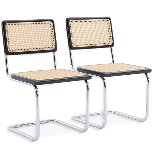 SEEDWAVE 2er-Set Freischwinger Esszimmerstühle mit Rattan-Sitz & Holzrahmen – Moderne Retro Stühle mit Metallrahmen für Küche, Wohnzimmer, Büro, Café