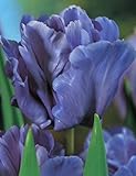 Blumenhandel Ullrich