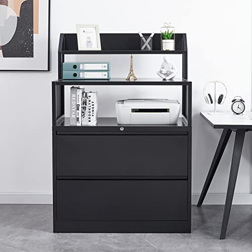Wiilayok Lateral File Cabinet With Lock, 2 Drawer File Cabinet For Home And Office, Lateral Locking Filing Cabinet With Storage Shelves, Filing Cabinet Fits Letter/Legal/A4 Size #TOP11