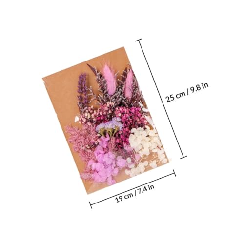 Flores prensadas secas para manualidades DIY miniatura 2