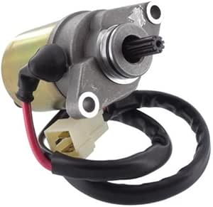 E-Ton TXL 90 In "Nutcrackers, 2024 - Foto 8