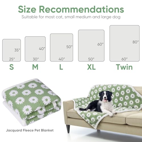 Image of Dog Blanket for Small Medium Large Dogs Fleece Cat Blankets for Indoor Cats Washable Fluffy Pet Bed Blanket Furniture Sofa Couch Cover Protector