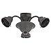 Sea Gull 16122B-07 Fan Light