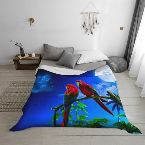 Couverture en flanelle pour canapé idéale pour des soirées cocooning - 6