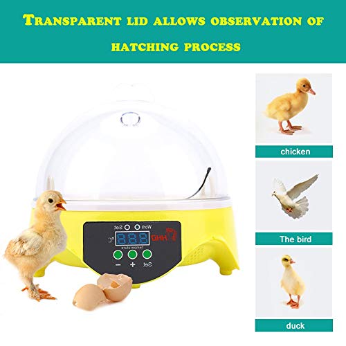 Foto von Cocoarm Brutmaschine Inkubator mit LED 7 Eier Mini Digital Inkubator Inkubationsgerät Eier Brutkasten Temperatur und Feuchtigkeitsregulierung für Hühner Ente Gans und Wachtel Ausbrüten (7 Eier)