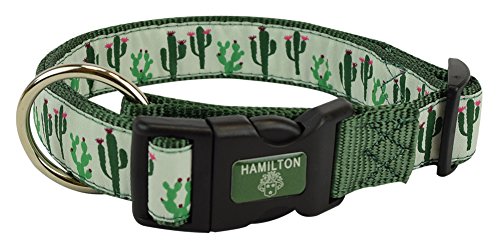 Hamilton FAL RO P57 Fashion Adjustable Dog Collar, Cactus, 1 x 18-26