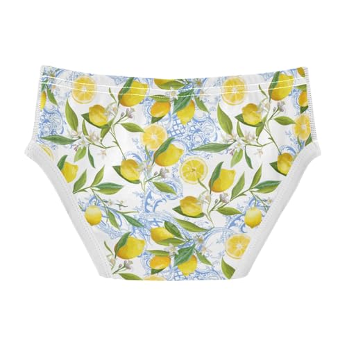 Boys' Exclusive Briefs Toddler Underwear 95% Combed Cotton Boxerbriefs 2T Lemon and Butterfly Pattern 622